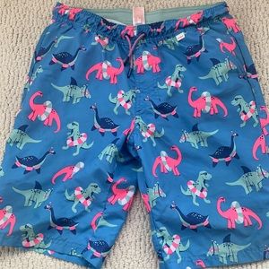Dinosaur Swim Trunks